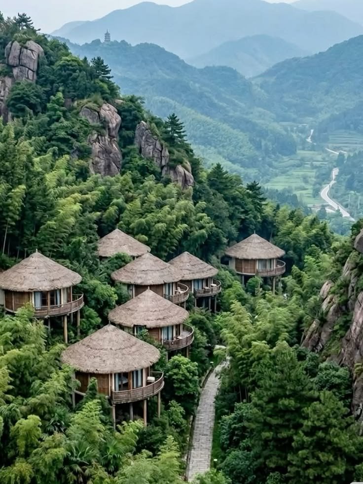 Eco Lodge Canopy Mountain