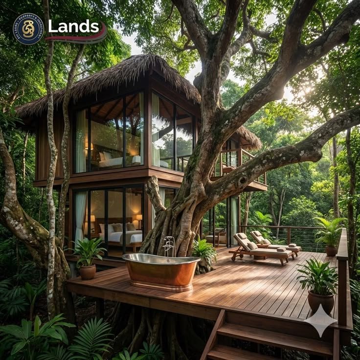 Eco Lodge Canopy Mountain