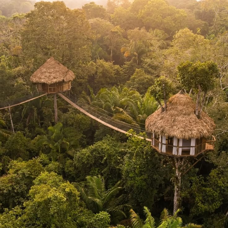 Eco Lodge Canopy Mountain